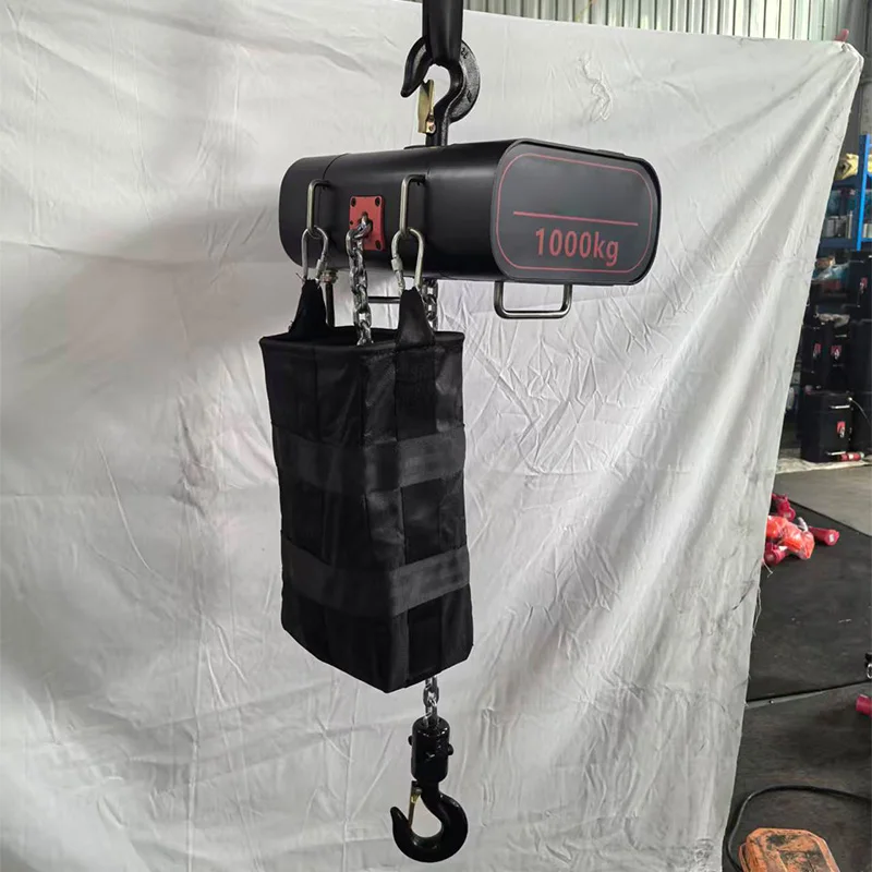 Stage-Grade Electric Chain Hoi - огляд і ціна Electric Chain Hoist